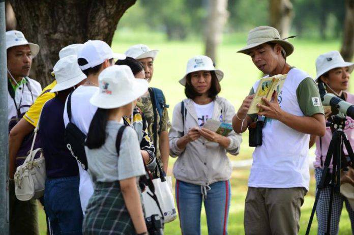 นกอีแพรด